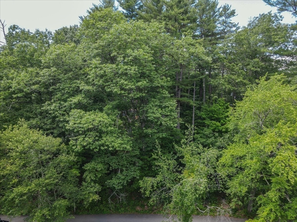 9 Georgia Road Groton, MA 01450 - Photo 15 of 28