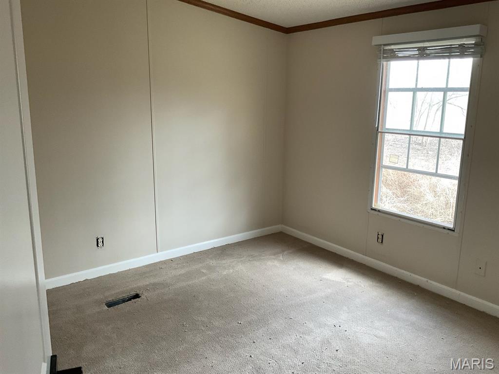2807 Otten Road Millstadt, IL 62260 - Photo 16 of 21