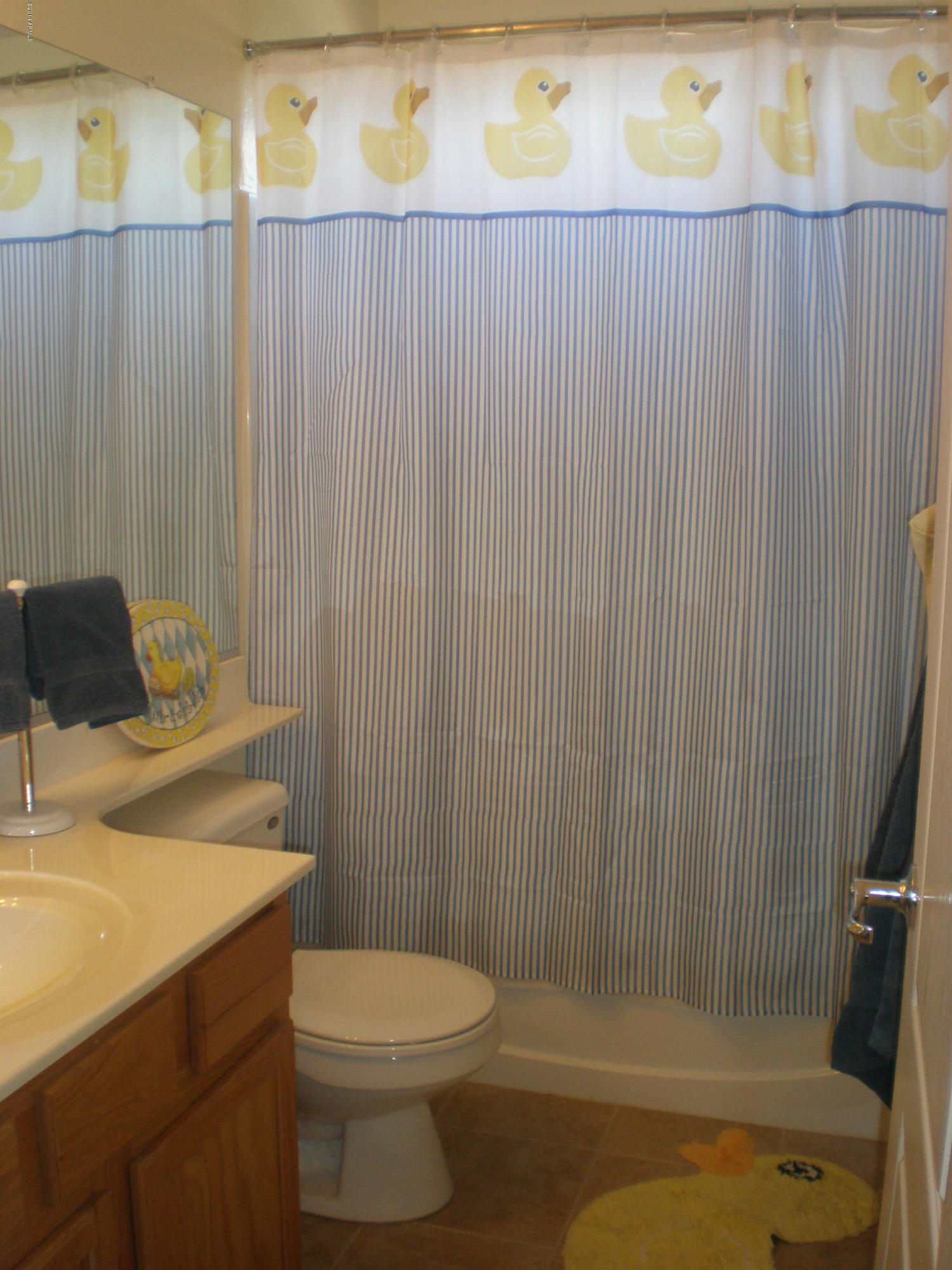 4576 East Del Rio Street Gilbert, AZ 85295 - Photo 15 of 23 Upstairs Bathroom