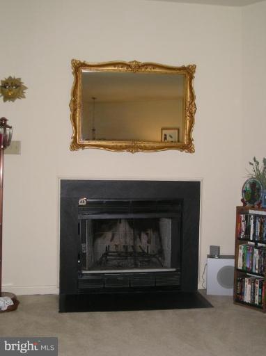 201 Crossing Road Fredericksburg, VA 22406 - Photo 5 of 10 Fireplace