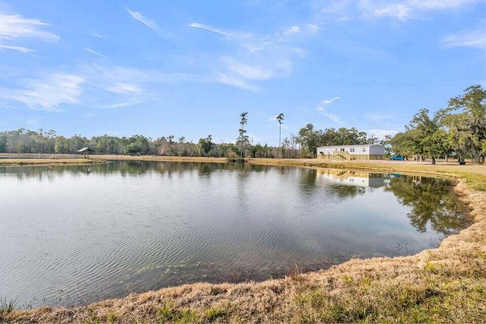 0 Pine Bluff Road Dorchester, SC 29437 - Photo 10 of 11