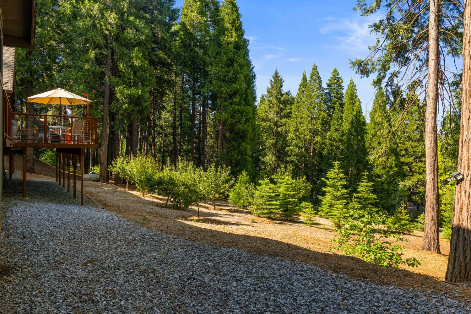3070 Crystal Summit Road Pollock Pines, CA 95726 - Photo 64 of 76