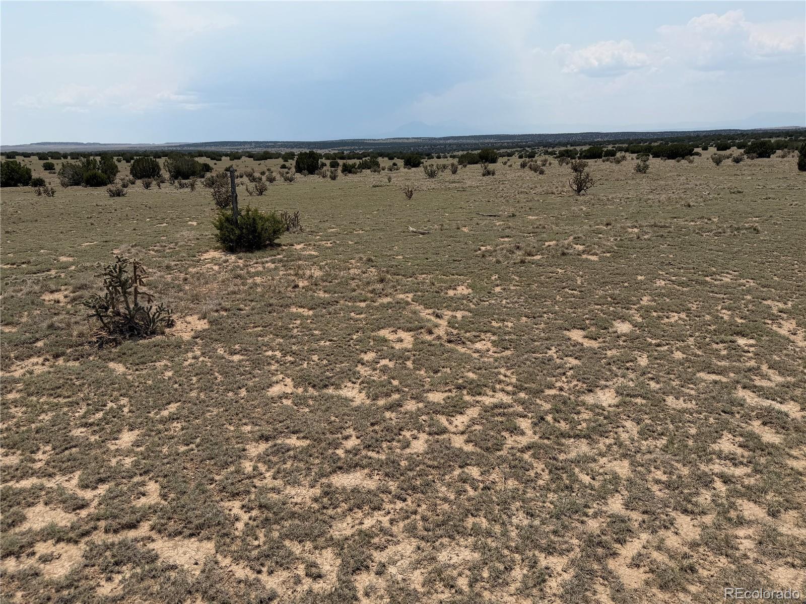 Lot 167 Tyrone Hills Ranch Walsenburg, CO 81089 - Photo 10 of 14