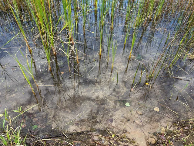 $625,000 | 11347 Lupine Way Northeast, Bemidji, MN 56601