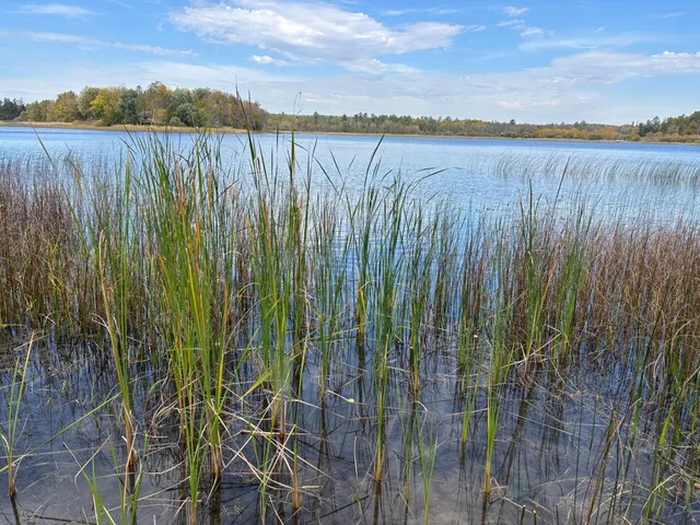 $625,000 | 11347 Lupine Way Northeast, Bemidji, MN 56601