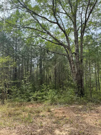 $44,000 | 21 Range Line Road, Perkinston, MS 39573