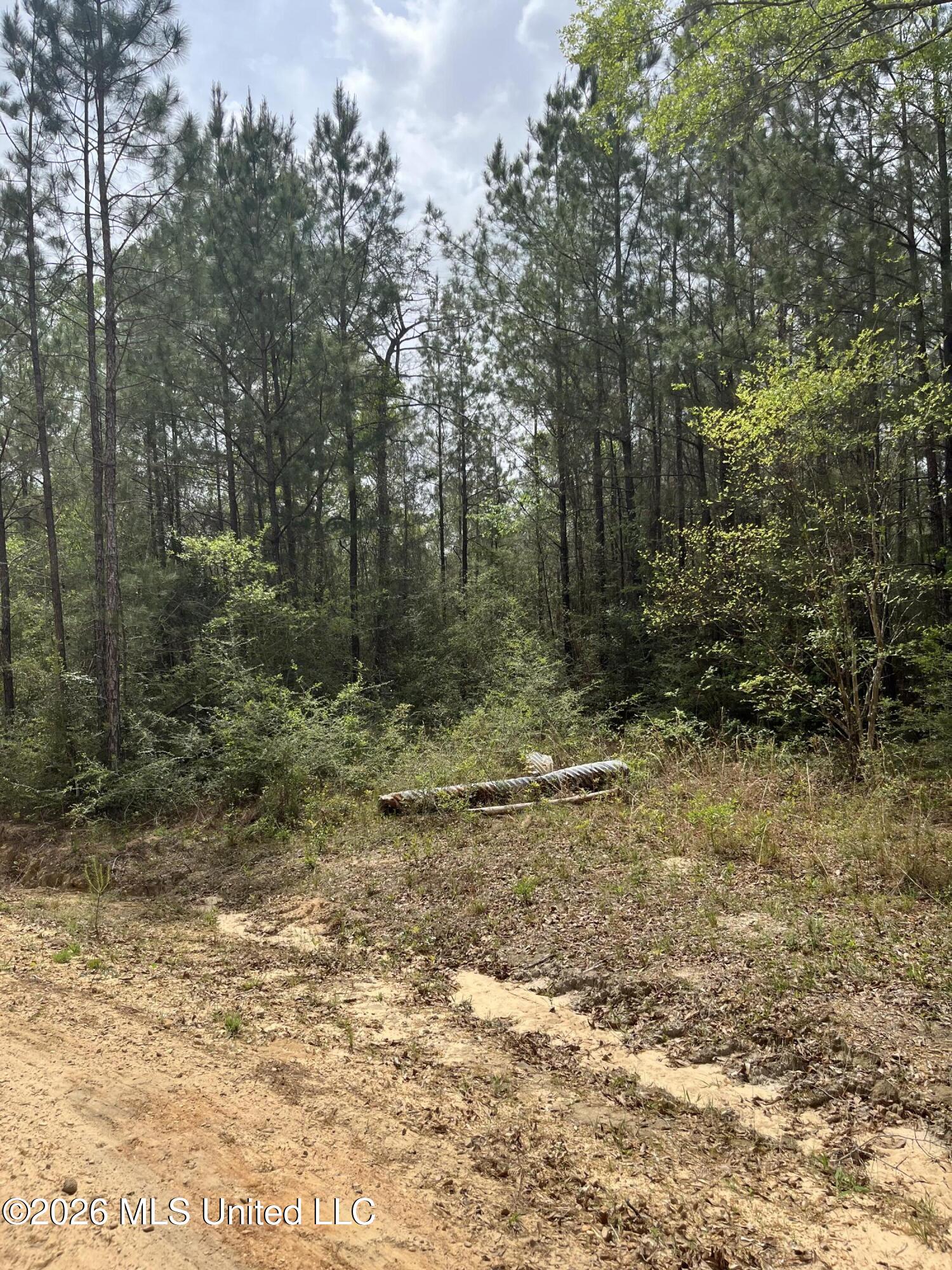 21 Range Line Road Perkinston, MS 39573 - Photo 2 of 7 IMG_3563