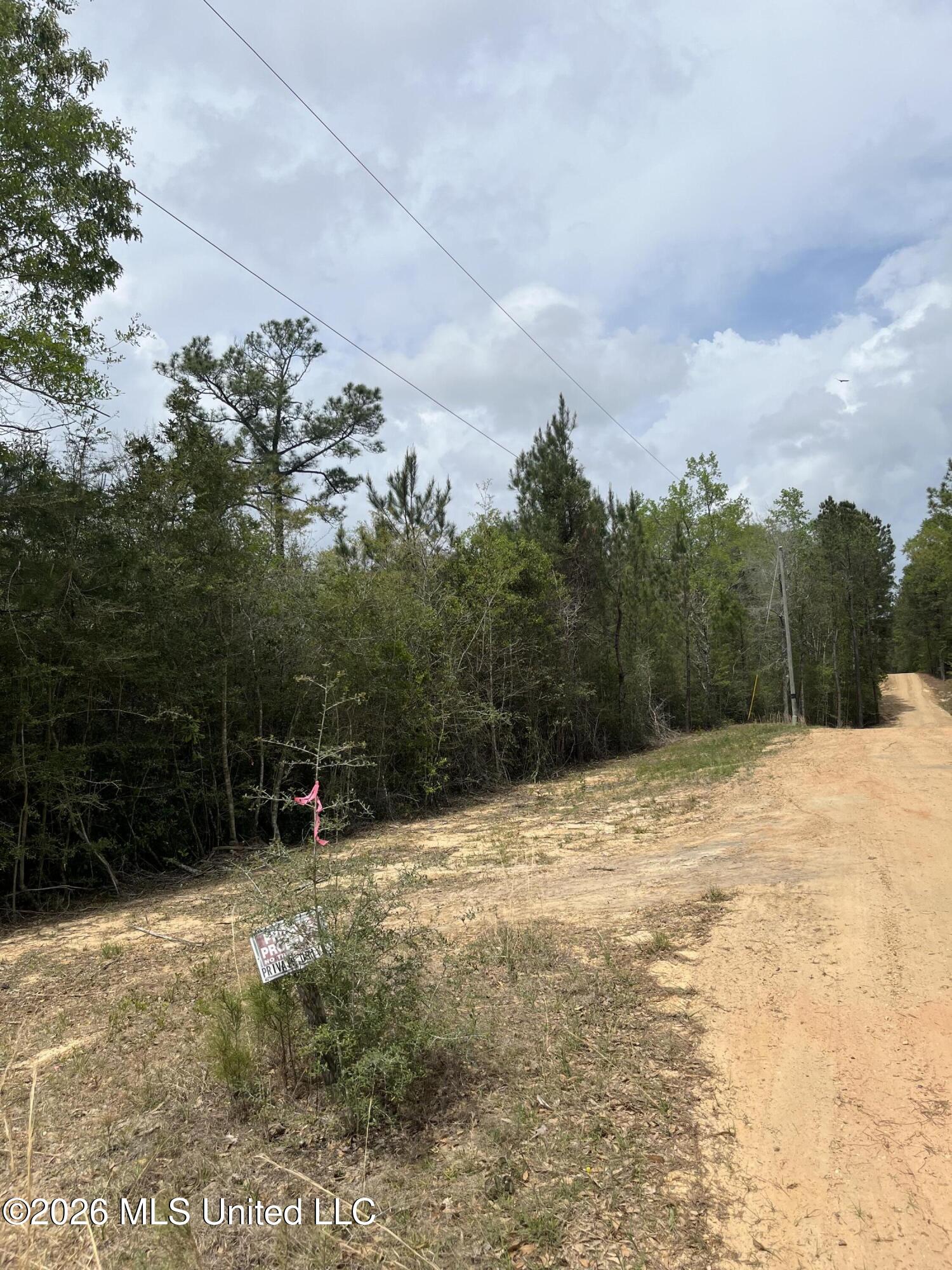 21 Range Line Road Perkinston, MS 39573 - Photo 7 of 7 IMG_3551