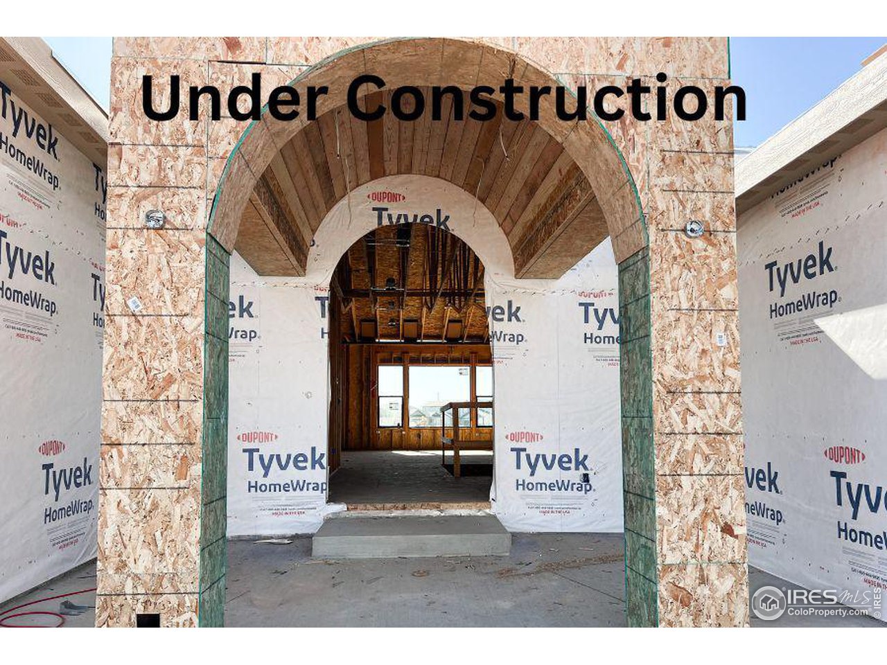 261 Cornelia Drive Windsor, CO 80550 - Photo 1 of 16 a black and white photo of a book shop