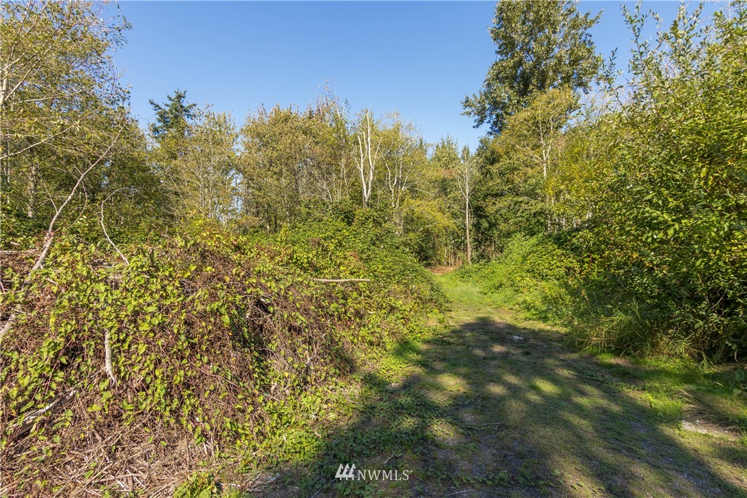 184 East Smith Road Bellingham, WA 98226 - Photo 16 of 24 Gallery Image 16