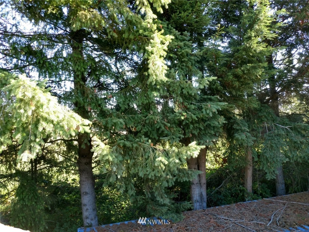 184 East Smith Road Bellingham, WA 98226 - Photo 21 of 24 Gallery Image 21