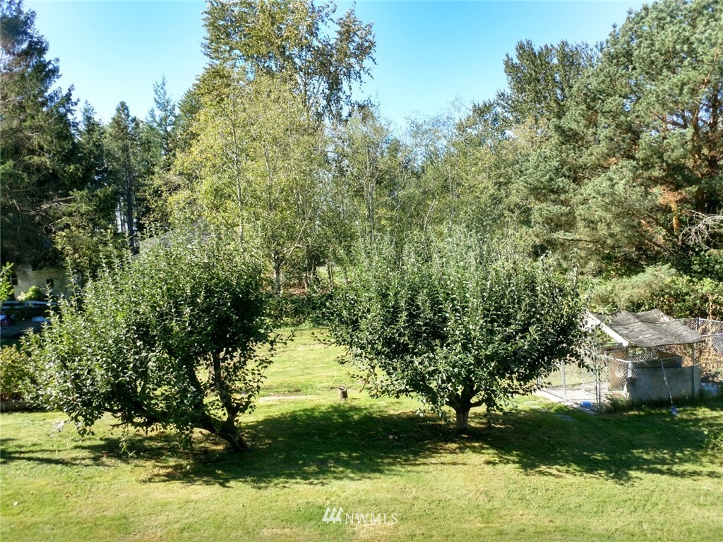 184 East Smith Road Bellingham, WA 98226 - Photo 7 of 24 Gallery Image 7