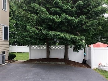 22 Harrington Street, Unit 2 Newton, MA 02460 - Photo 6 of 21