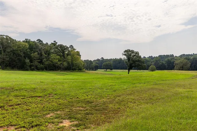 a view of a field with an ocean