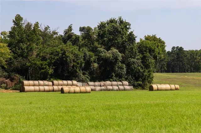 a view of yard with grass and trees