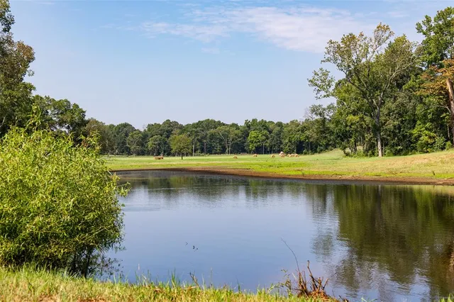a view of a lake with a yard and trees