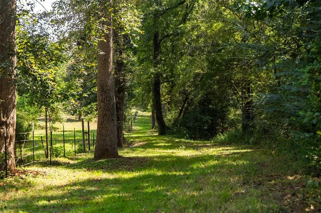 a view of swimming pool from a big yard