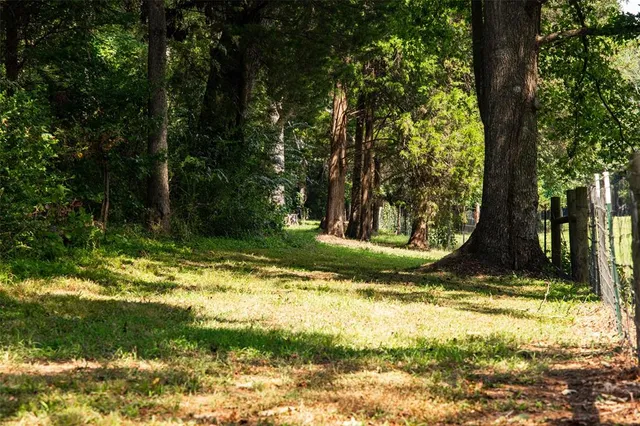 a view of a yard with trees