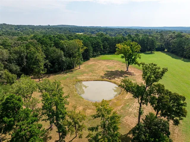 a view of a lake with trees