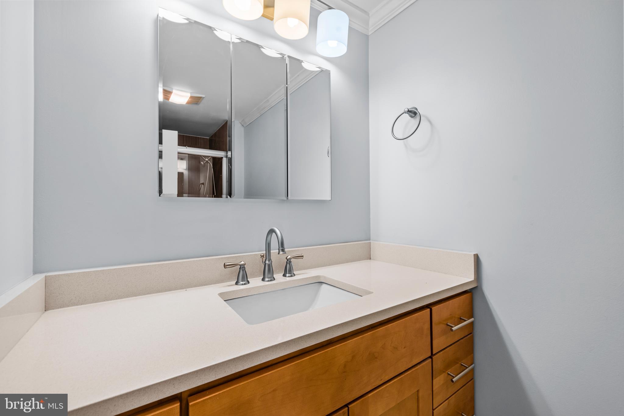 8309 Magic Leaf Road Springfield, VA 22153 - Photo 54 of 64