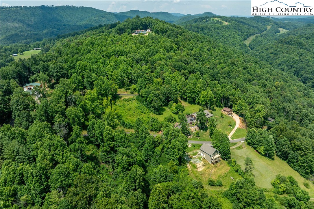 Lot 10 Lake Ridge Butler, TN 37640 - Photo 4 of 24