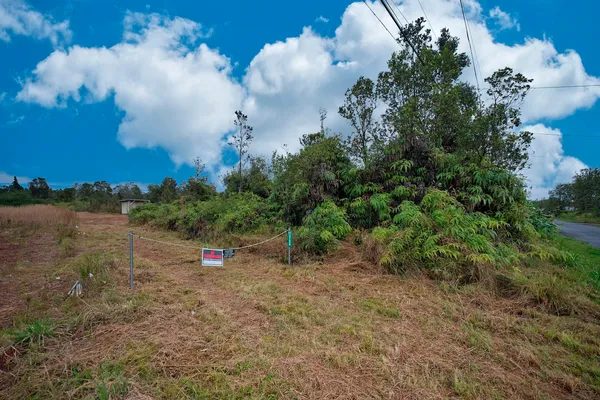 a view of a lake in middle of the forest