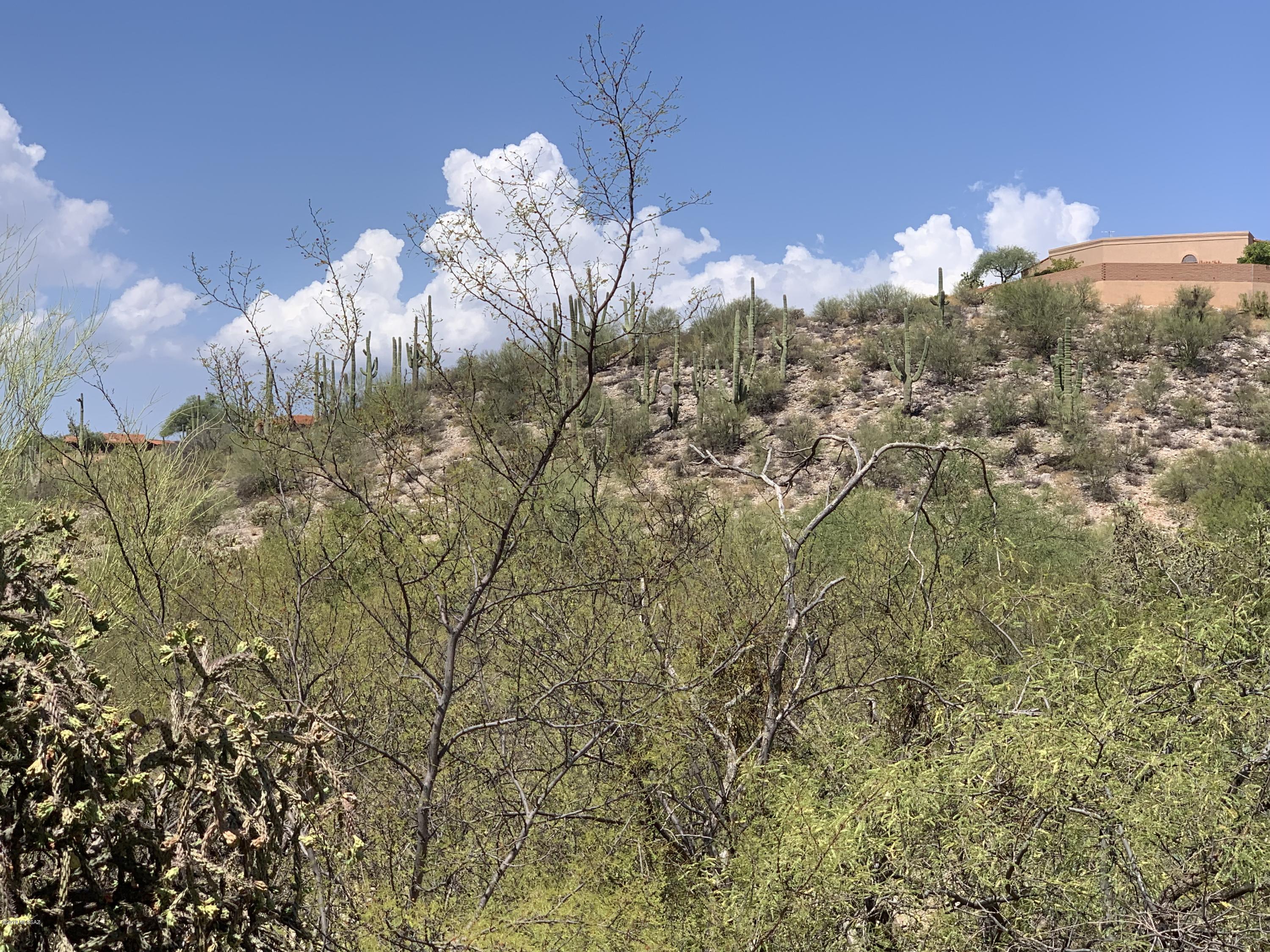 6774 East Snyder Road, Unit 16 Tucson, AZ 85750 - Photo 3 of 13