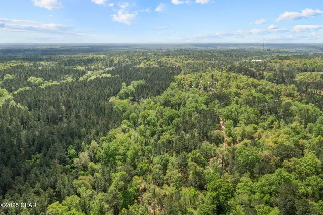 $34,999 | Xxx Spring Lakes Drive, Chipley, FL 32428