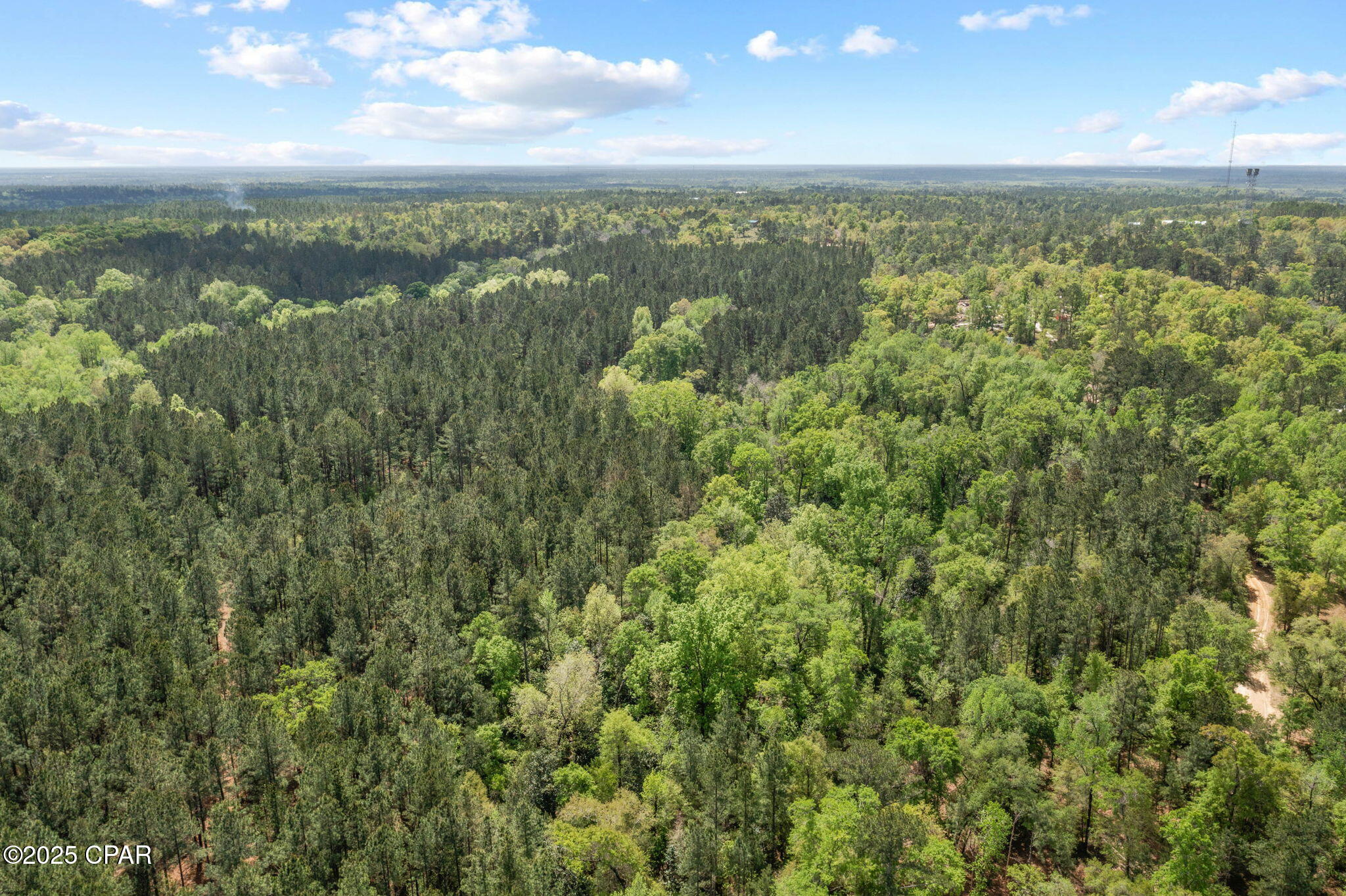 Xxx Spring Lakes Drive Chipley, FL 32428 - Photo 13 of 19