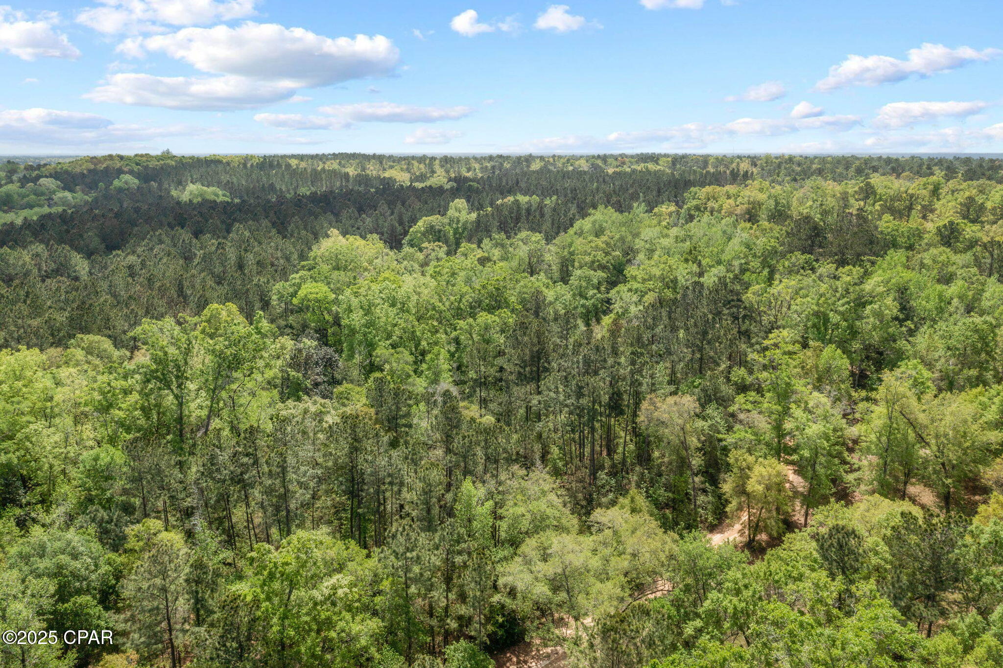 Xxx Spring Lakes Drive Chipley, FL 32428 - Photo 14 of 19