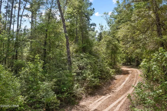 $34,999 | Xxx Spring Lakes Drive, Chipley, FL 32428