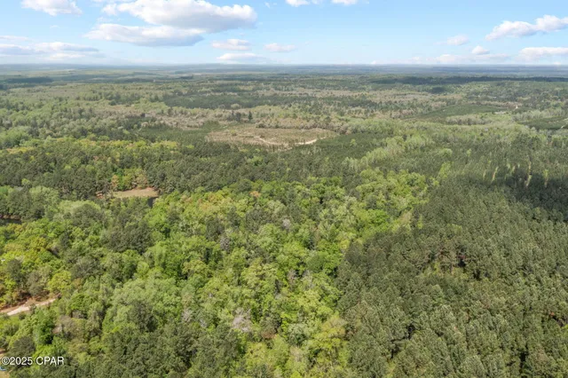 $34,999 | Xxx Spring Lakes Drive, Chipley, FL 32428