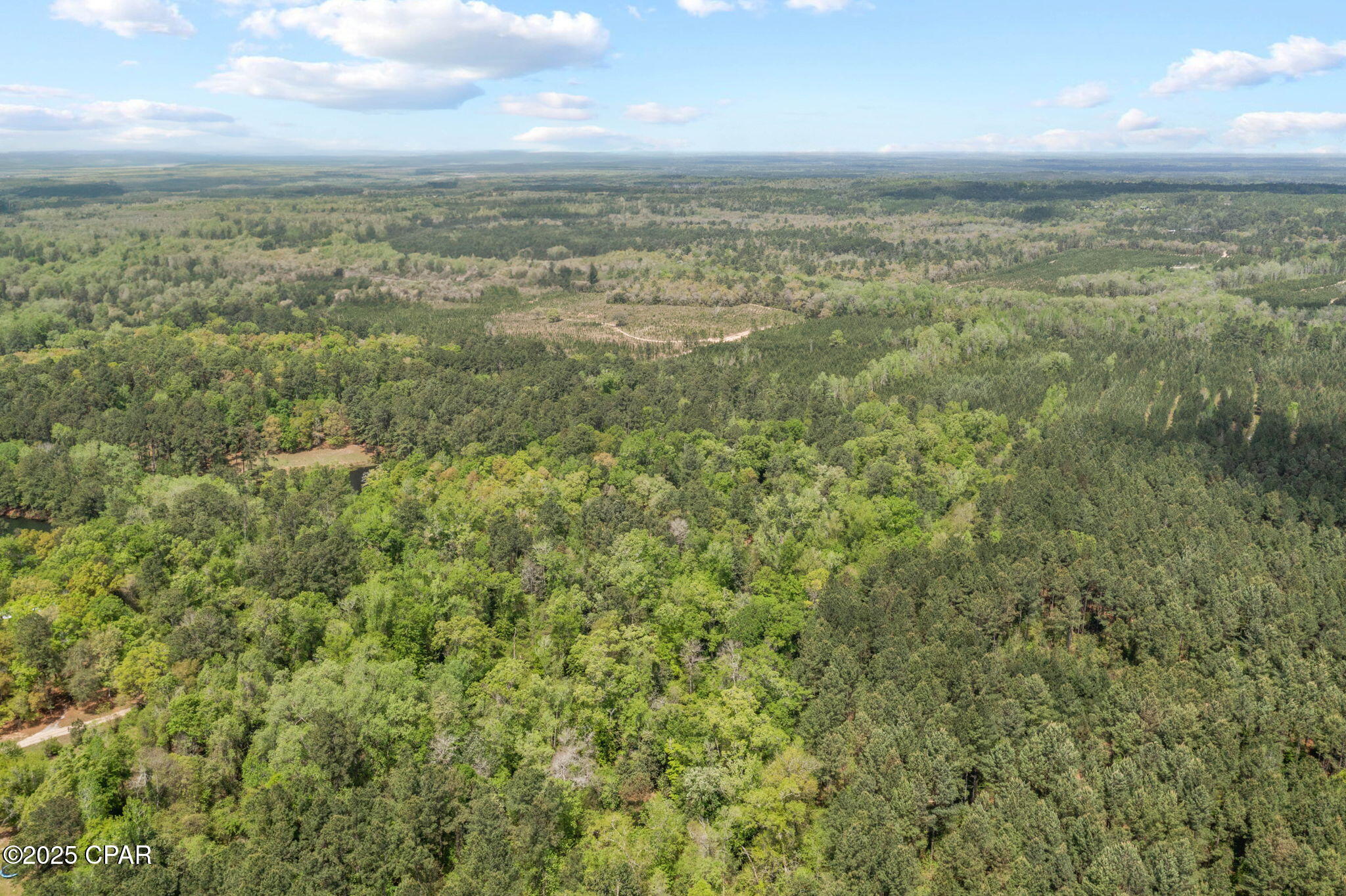 Xxx Spring Lakes Drive Chipley, FL 32428 - Photo 18 of 19