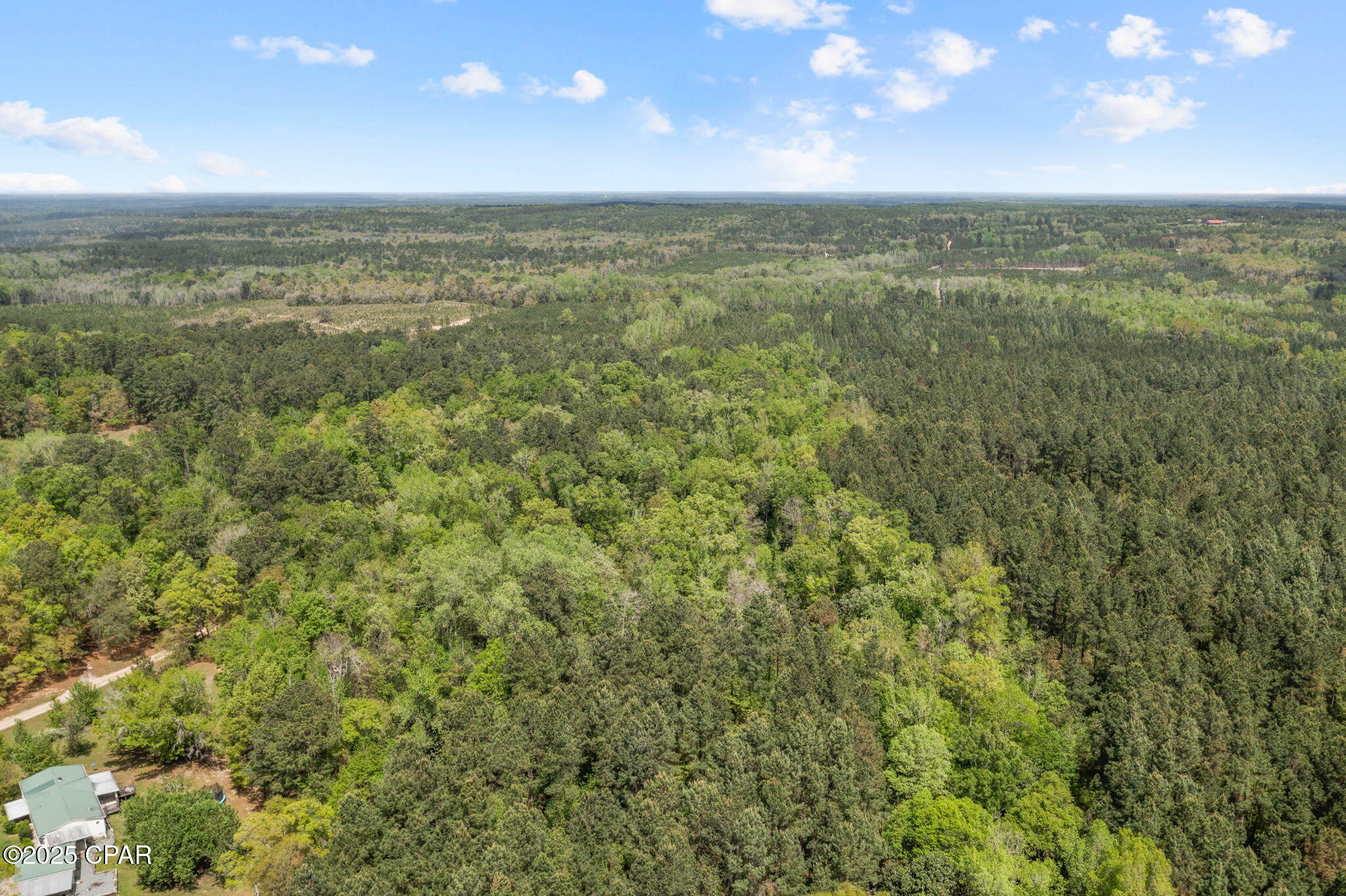 Xxx Spring Lakes Drive Chipley, FL 32428 - Photo 10 of 19