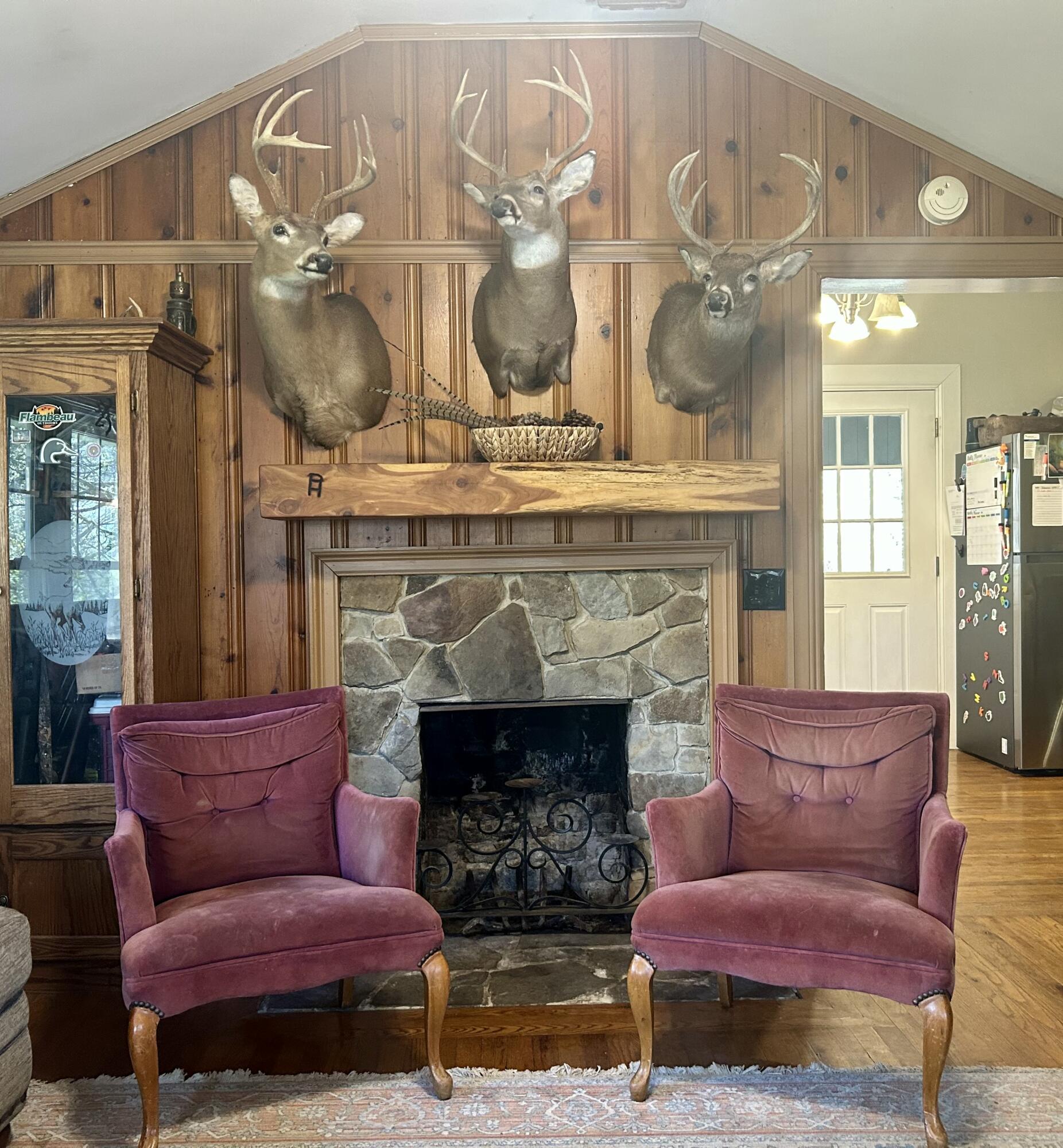 311 Tims Way Hixson, TN 37343 - Photo 16 of 28 IMG_8960