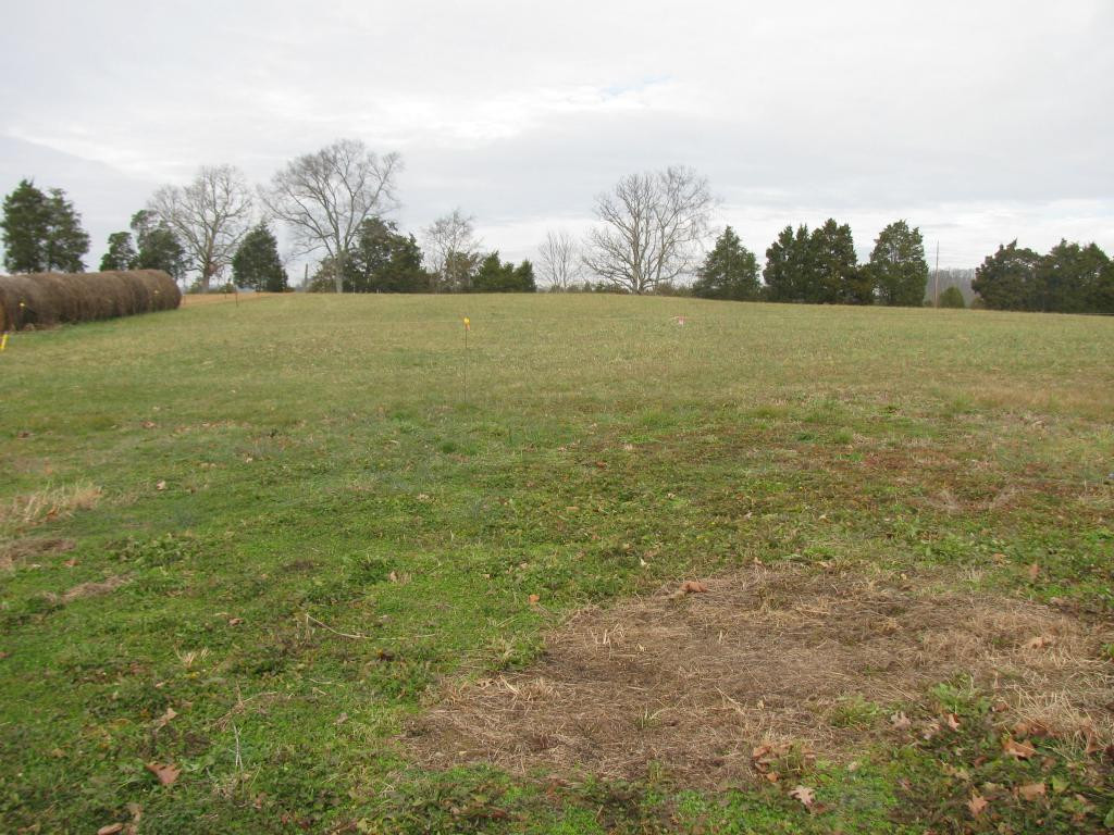 1715 Weems Chapel Road Mosheim, TN 37818 - Photo 3 of 7 back field