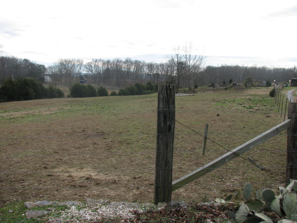 1715 Weems Chapel Road Mosheim, TN 37818 - Photo 4 of 7 front field