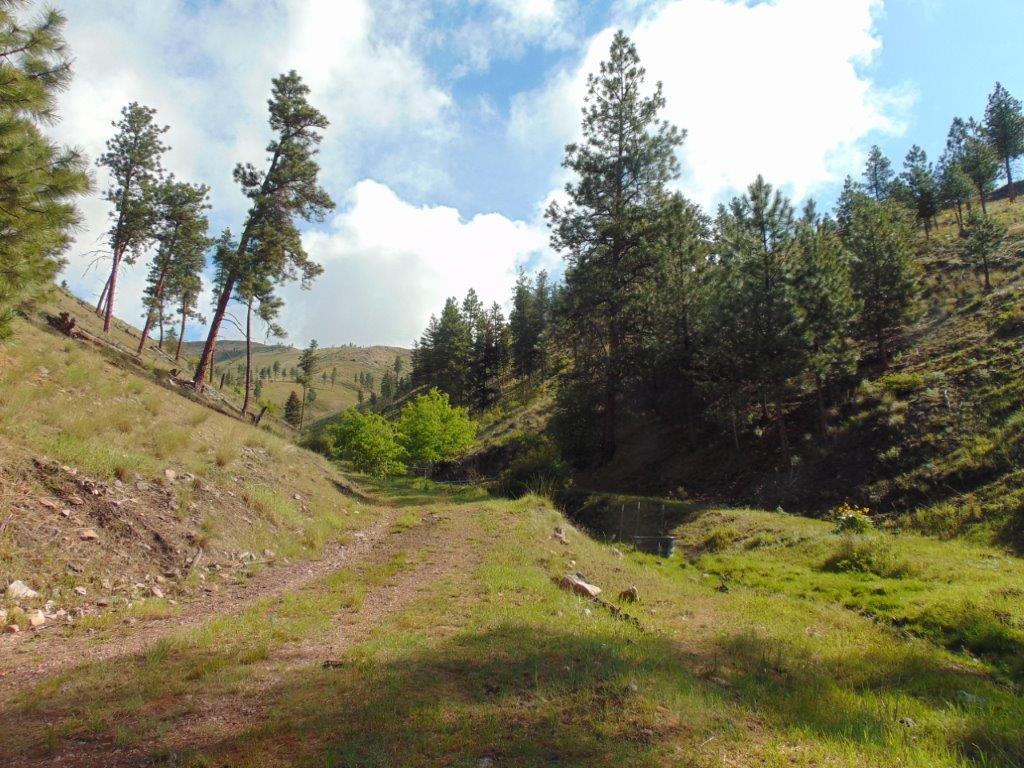 27235 Lazy Springs Road Clinton, MT 59825 - Photo 53 of 94 Gallery Image 53