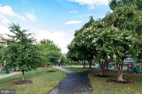 a view of a park with tree s