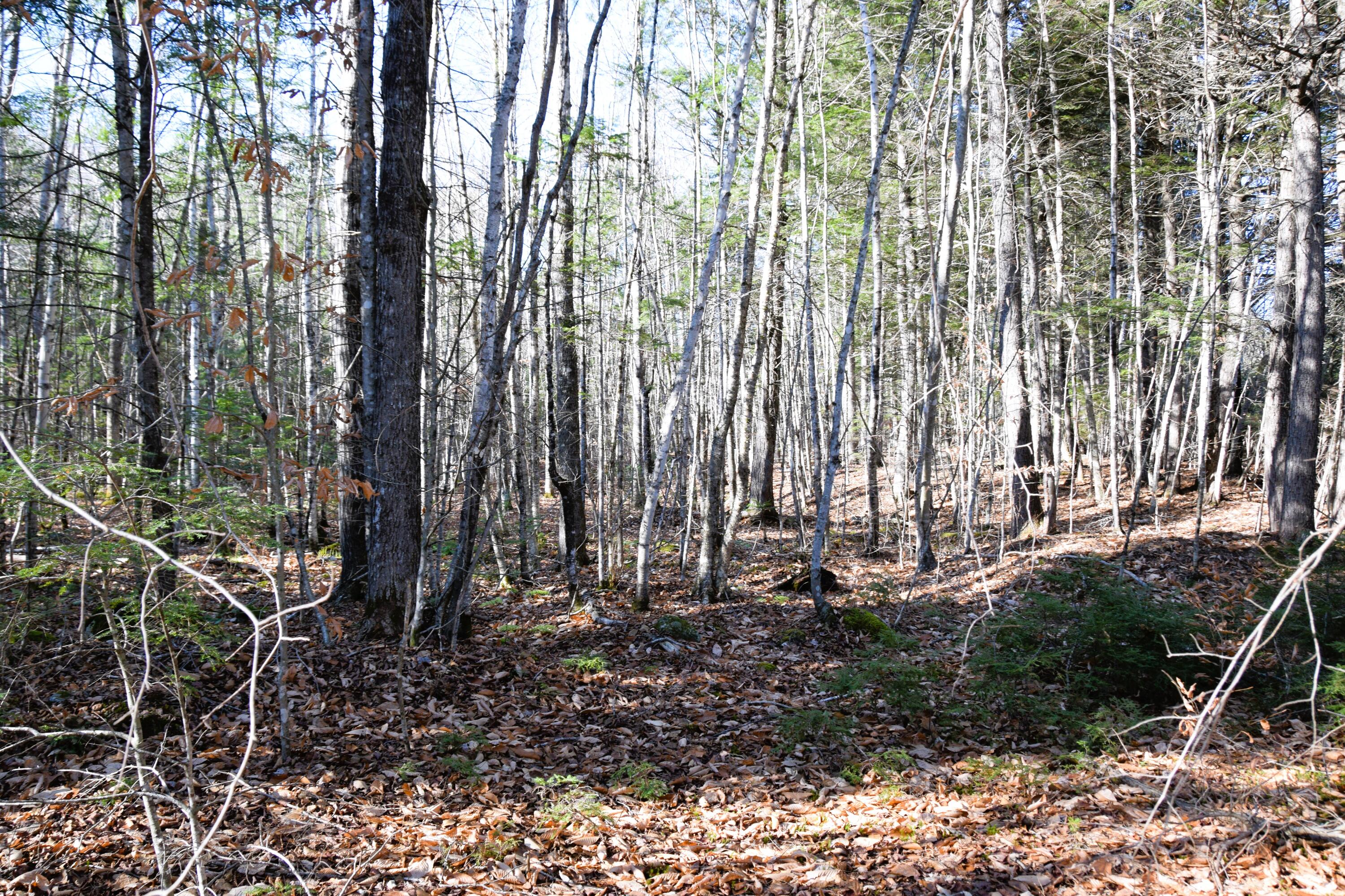 5 Pine Bluff Road Embden, ME 04958 - Photo 2 of 15