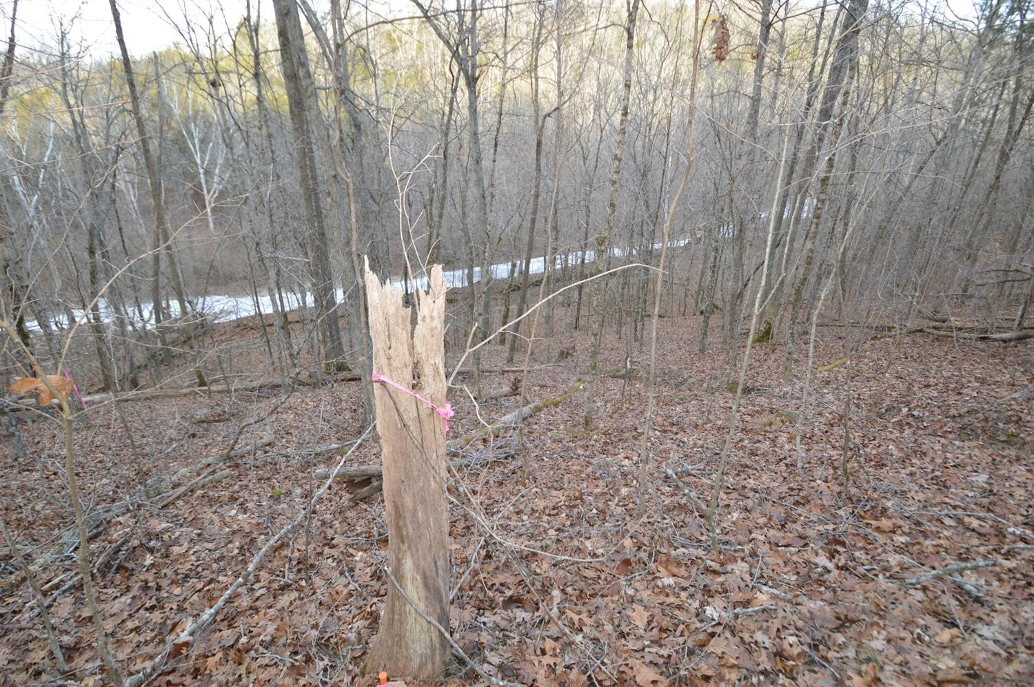 1290 Dennis Road, Unit 3 Lawrenceburg, KY 40342 - Photo 26 of 76 Photo 26