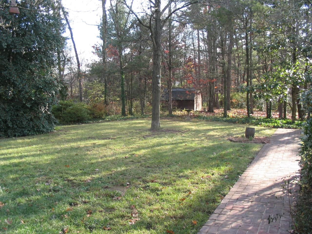 Back Yard