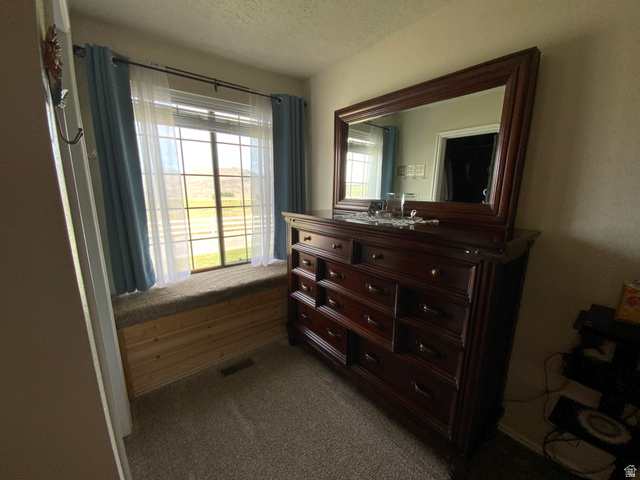 1061 Copper Street Stockton, UT 84071 - Photo 30 of 43 Window with a built-in seat featuring a wood-panel base