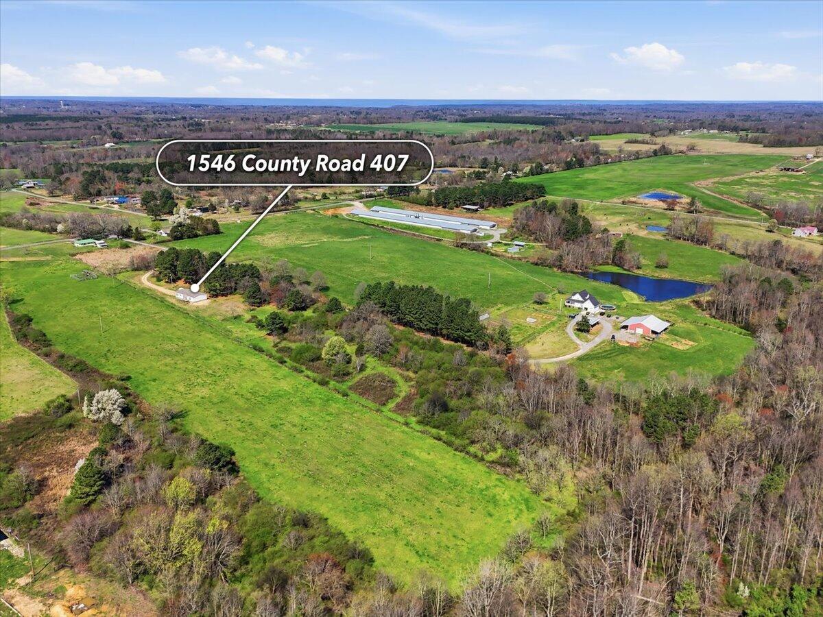 1546 Co Road Pisgah, AL 35765 - Photo 16 of 16 35-1546 County Road 407-BirdsEyeGraphics