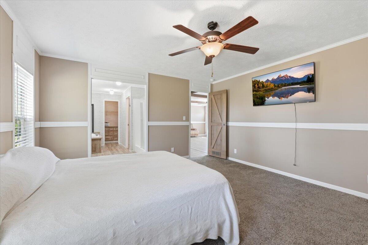 1546 Co Road Pisgah, AL 35765 - Photo 3 of 16 15-1546 County Road 407-BirdsEyeGraphics