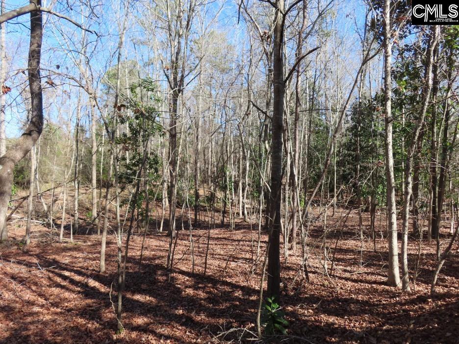 0 Rion Road Winnsboro, SC 29180 - Photo 17 of 42