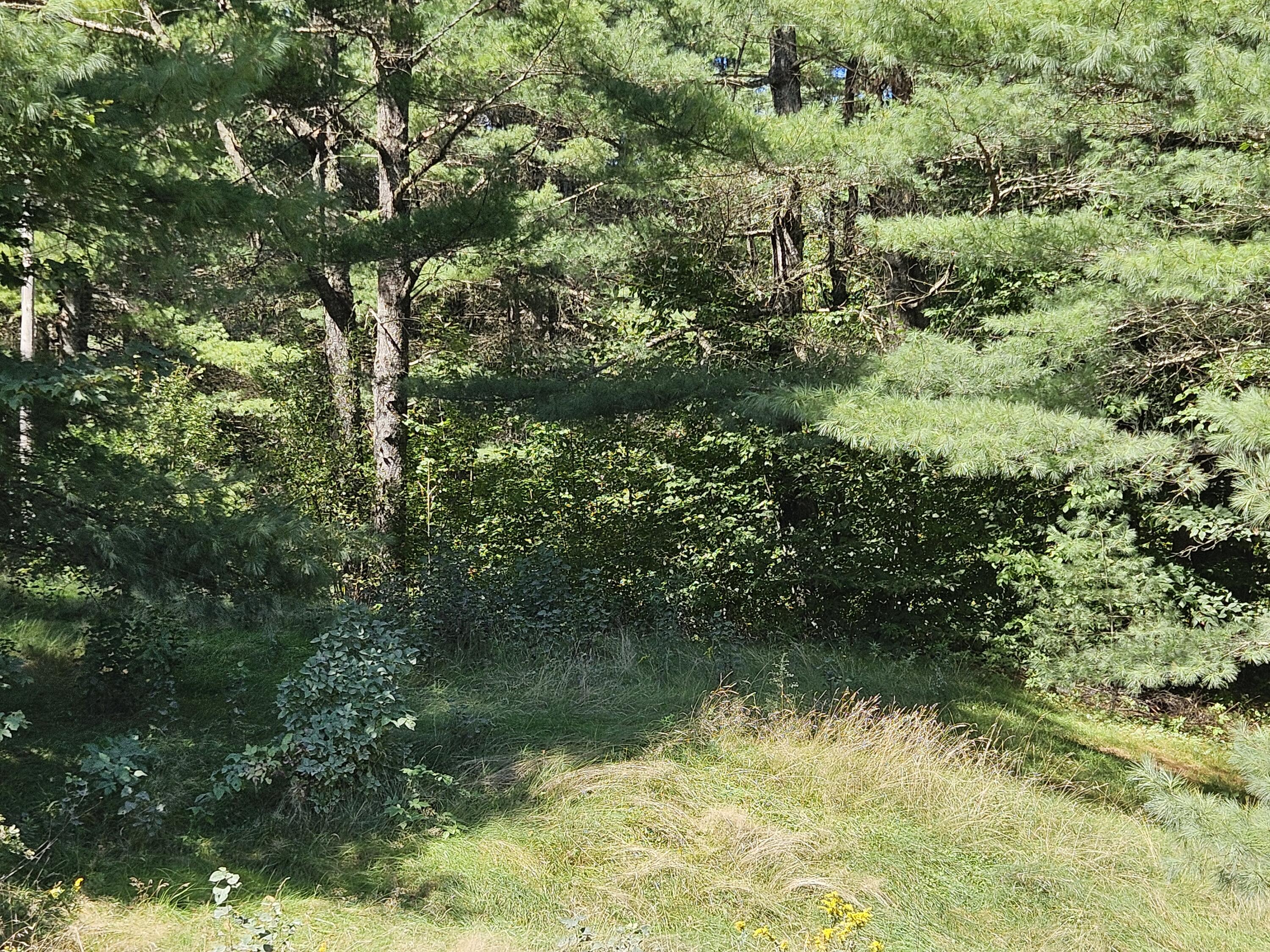 336 Medford Road Lagrange, ME 04453 - Photo 8 of 8 20240909_130802