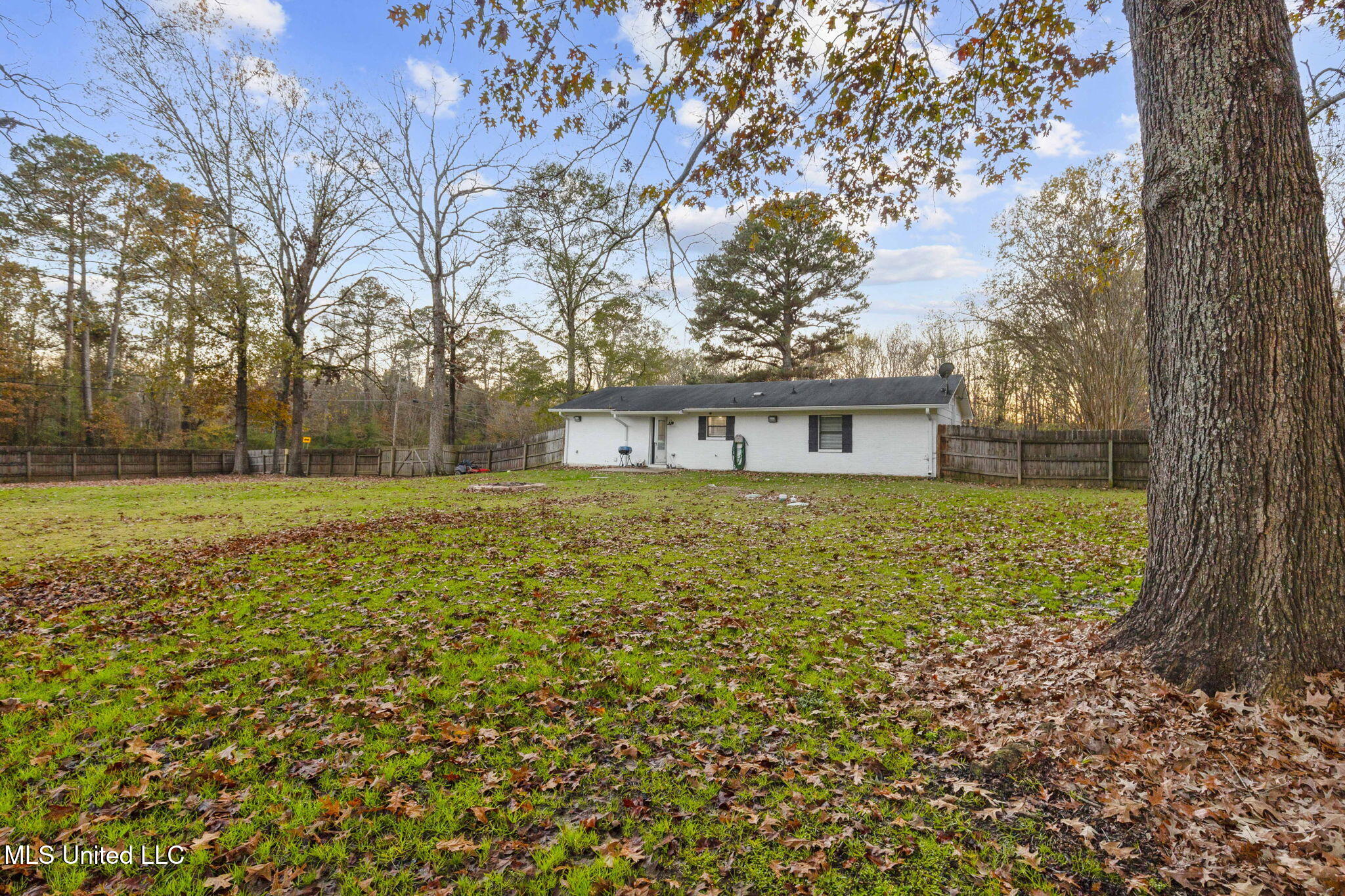 1005 Raintree Drive North Pelahatchie, MS 39145 - Photo 31 of 34 29-web-or-mls-1005 N Raintree-29