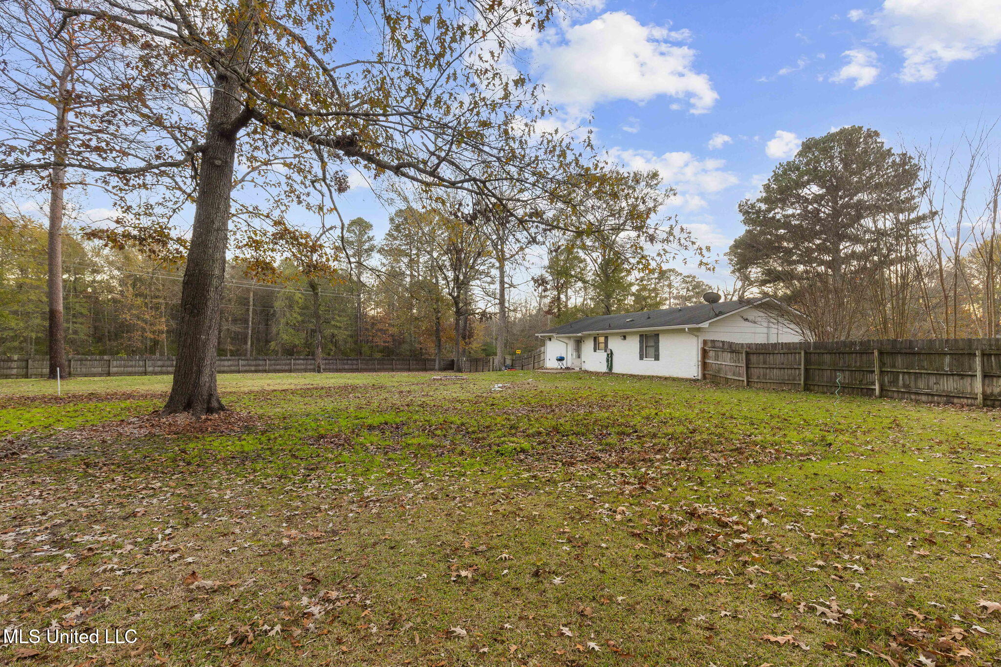 1005 Raintree Drive North Pelahatchie, MS 39145 - Photo 32 of 34 30-web-or-mls-1005 N Raintree-30