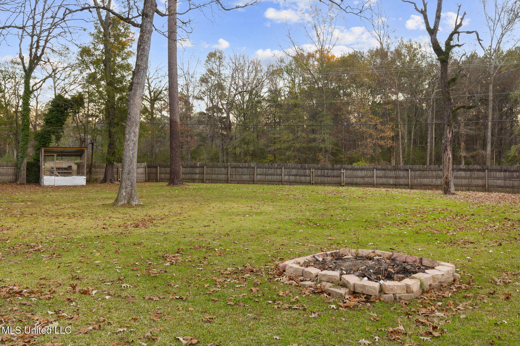 1005 Raintree Drive North Pelahatchie, MS 39145 - Photo 33 of 34 31-web-or-mls-1005 N Raintree-31